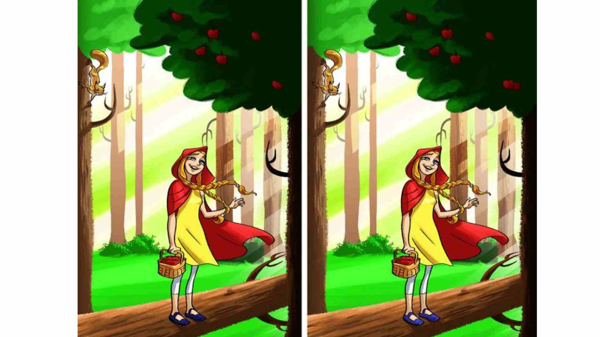 brain-teaser-accept-the-challenge-and-spot-the-two-differences-between