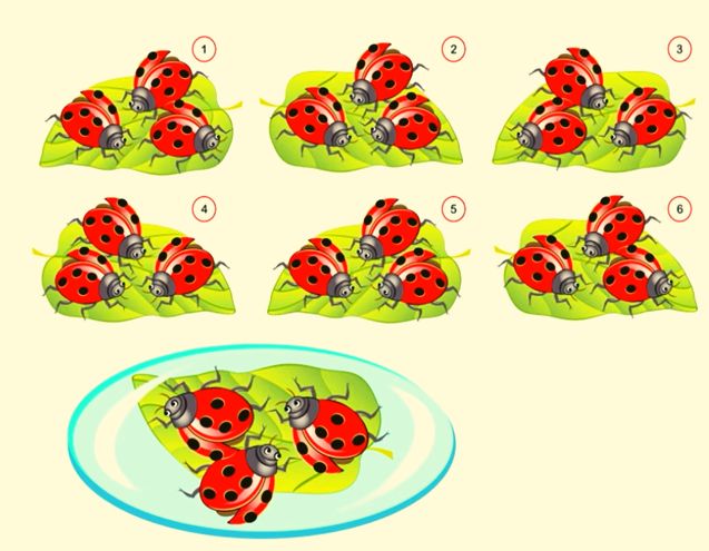 These brain teasers will surely keep your tiny tots busy!