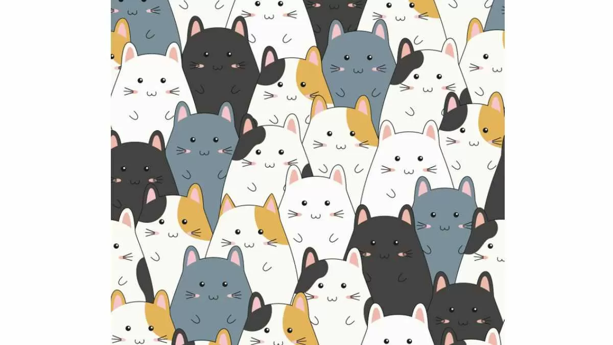 Kitty is Missing