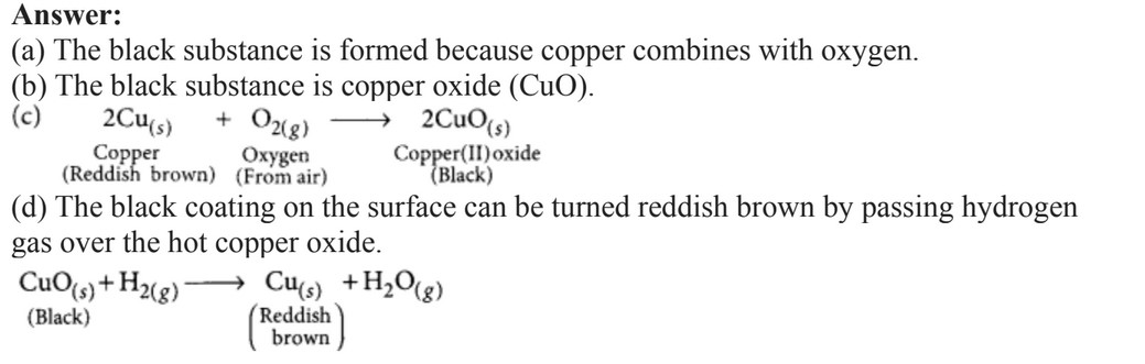 CBSE Class 10 Chemistry Chapter 1 Section D Important Question Answer