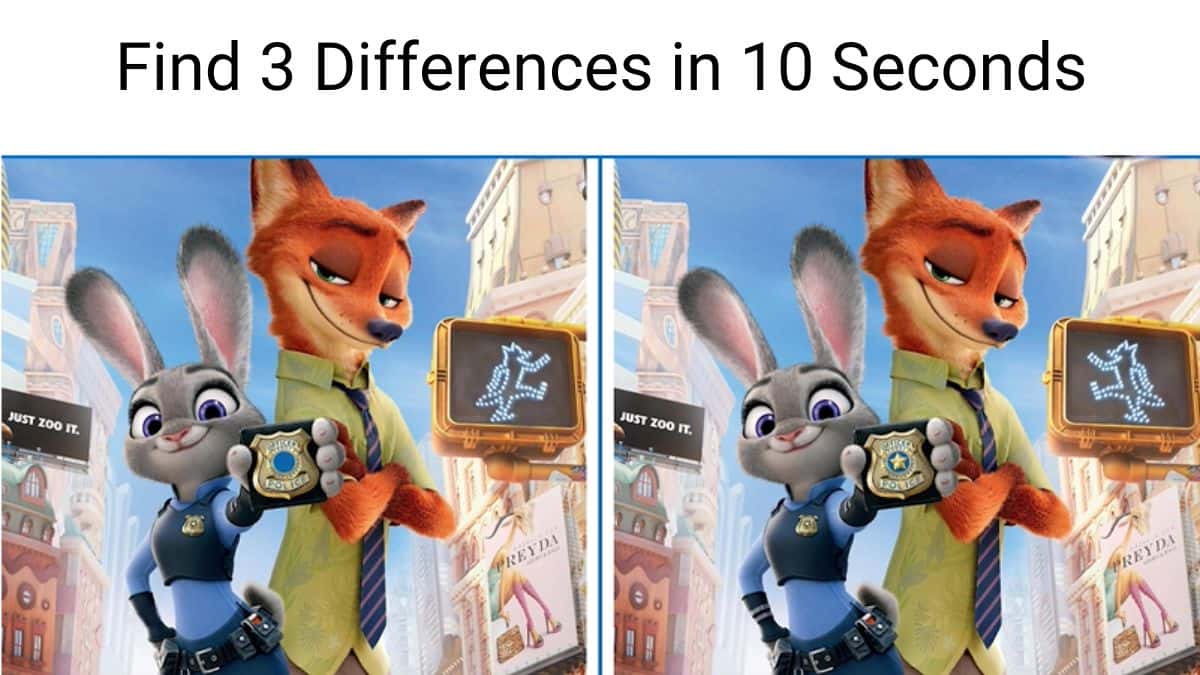 Find 3 Differences in 10 Seconds