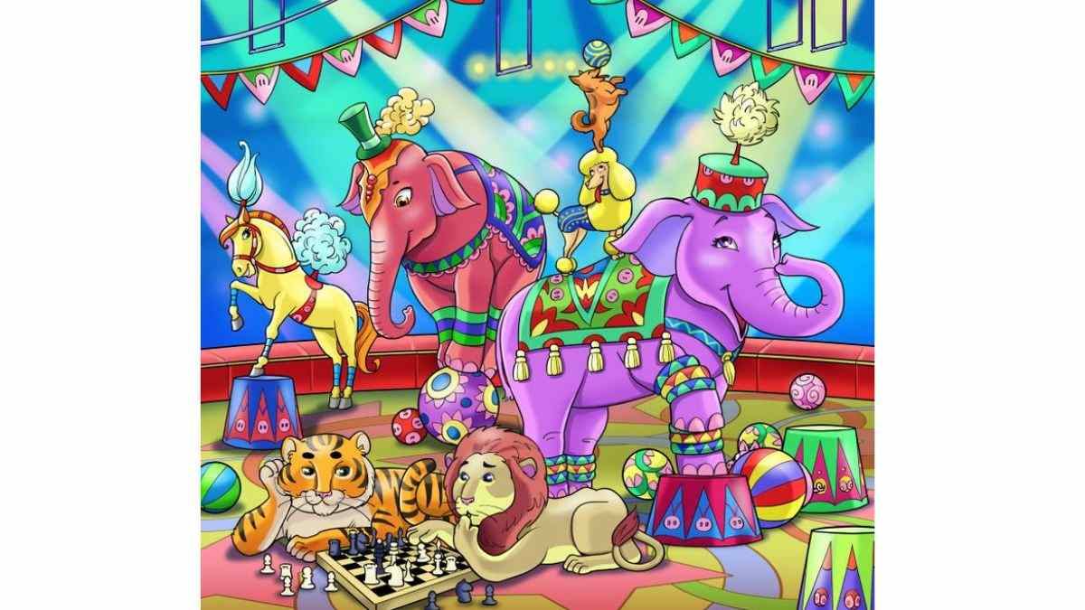 Find the Magical Pig lost from the Circus