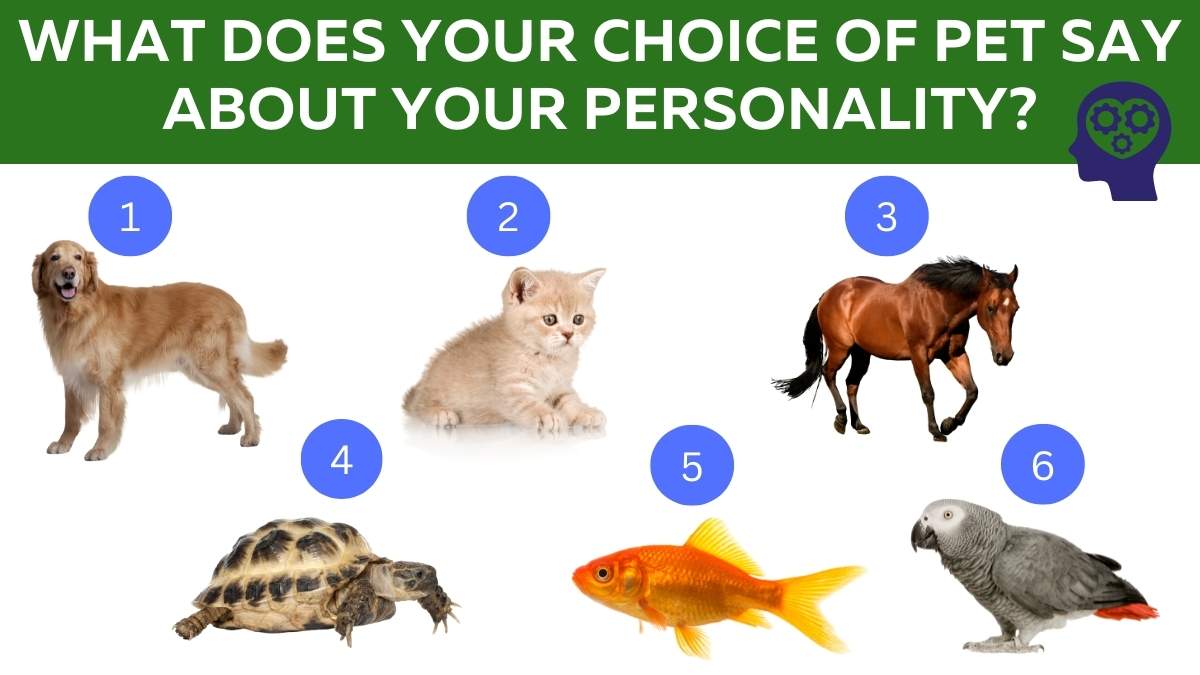 Favourite Pet Personality Test: What Does Your Choice Of Pet Say About You?
