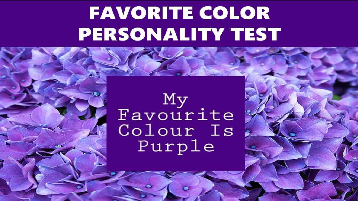 Purple Favorite Color Personality Test Reveals Your True ...