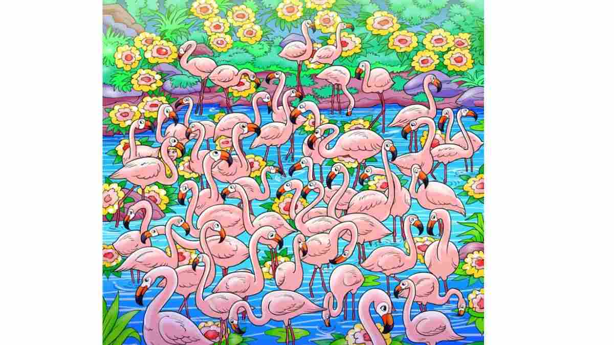 Find the Flamingo within 7 seconds