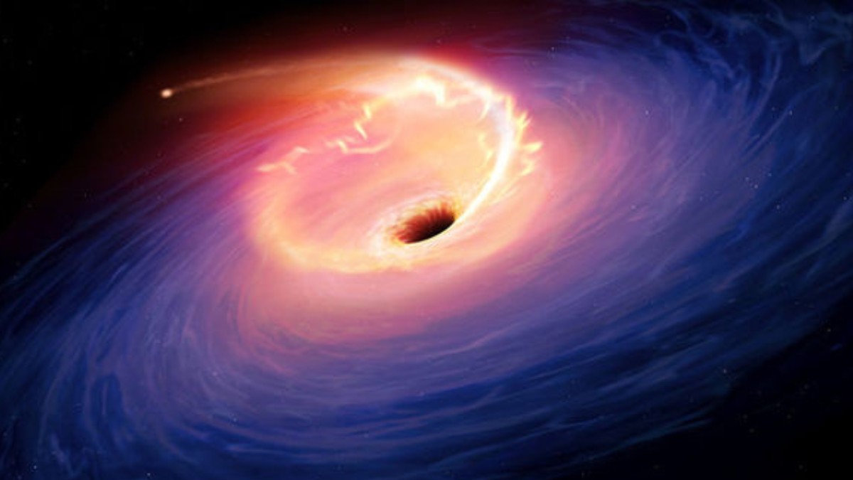 What Is The Difference Between Black Holes And Wormholes?