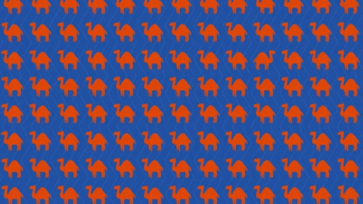 Find The Odd Camel in 7 Seconds