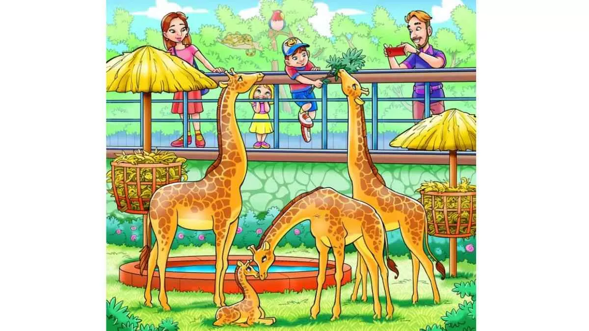 Spot the monkey in the picture puzzle
