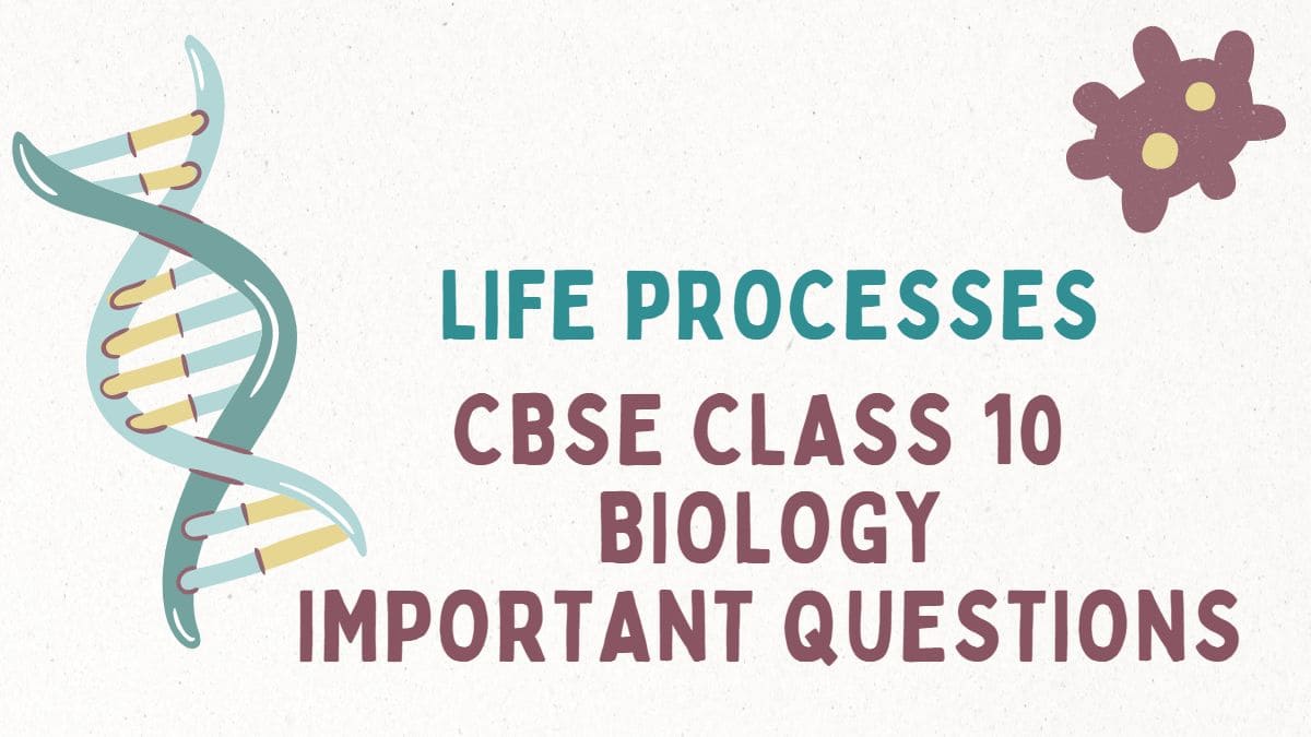 CBSE Class 10 Biology Chapter 6 Life Processes Important Questions and Answers