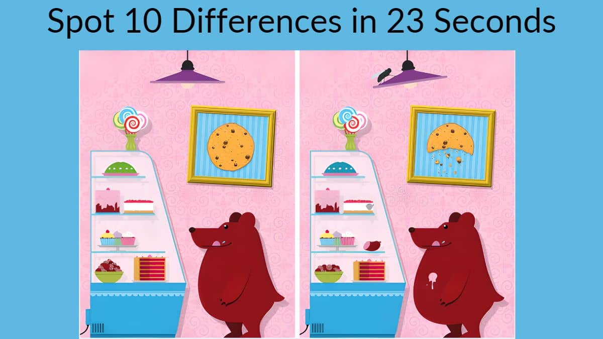 Spot 10 Differences in 23 Seconds
