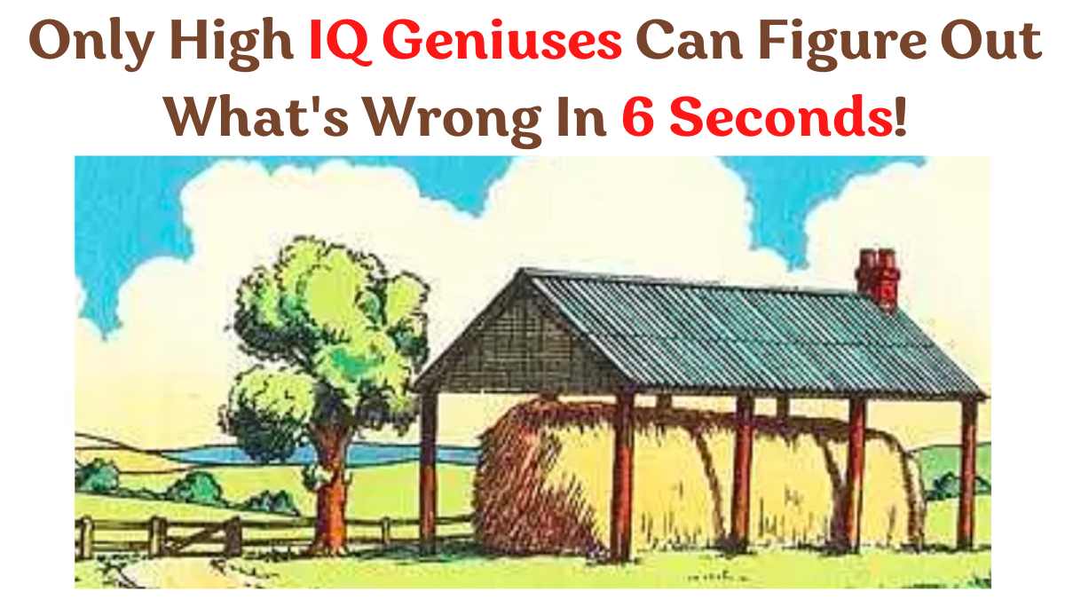 Brain Teaser: Only High IQ Geniuses Can Figure Out What’s Wrong In 6 Seconds!