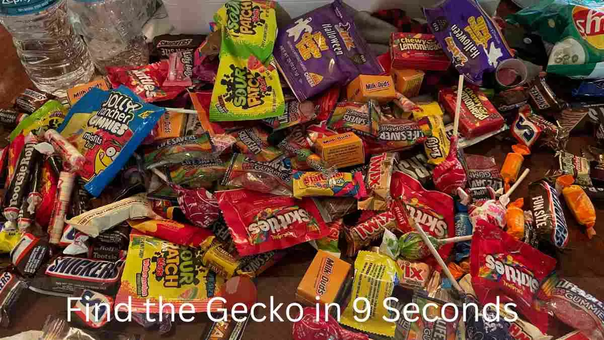 Find Hidden Gecko in 9 Seconds