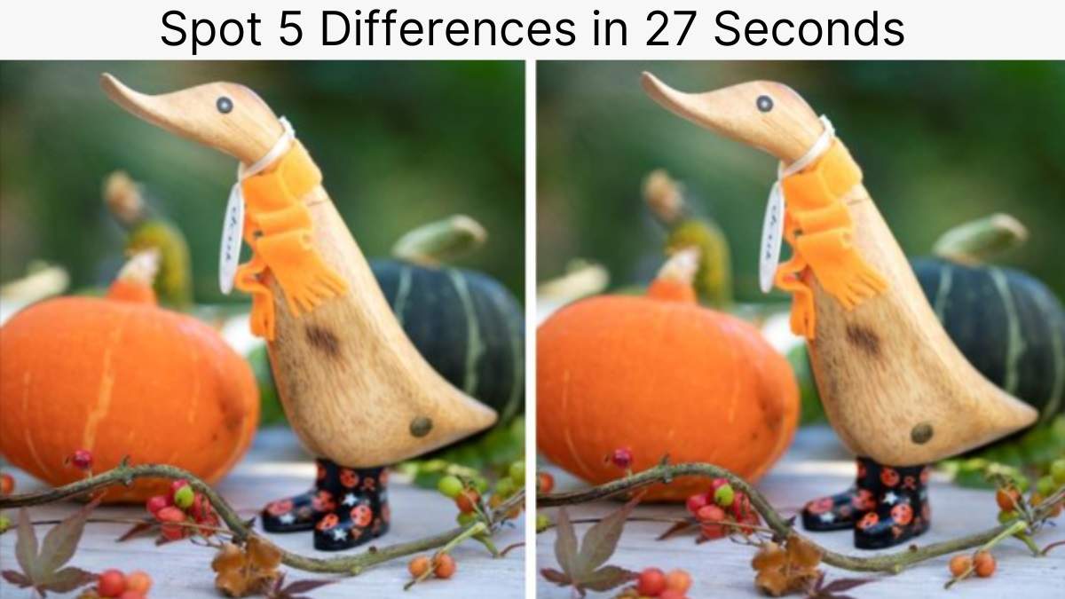 Spot 5 differences in 27 seconds