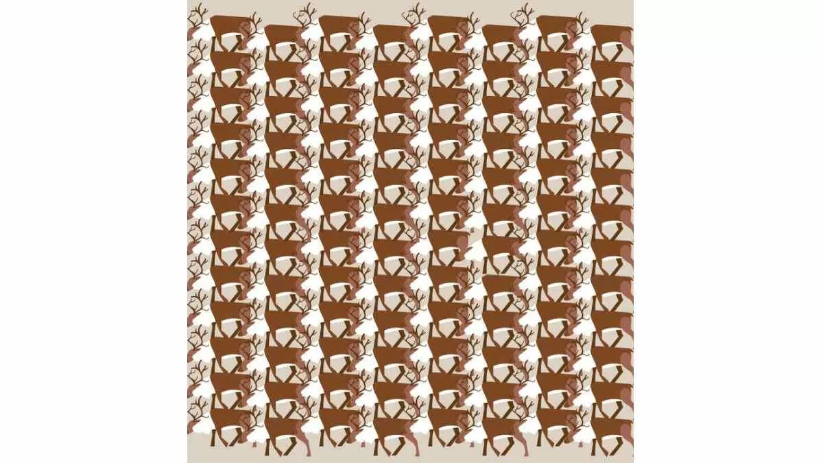 Can you spot the deer without the antlers in 7 seconds?