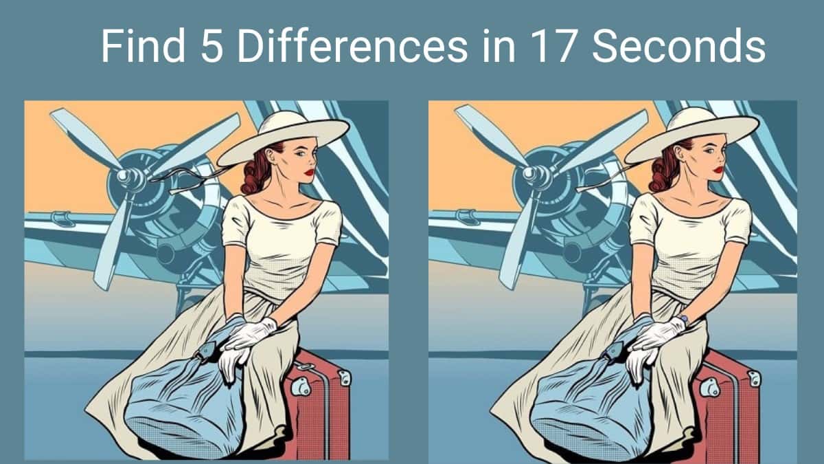 Spot The Difference Can You Spot 5 Differences In 17 Seconds