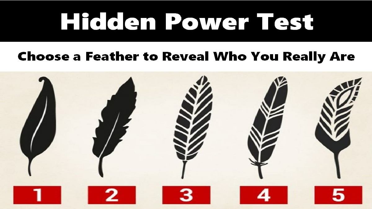 Hidden Power Test: Choose a Feather to Reveal Who You Really Are