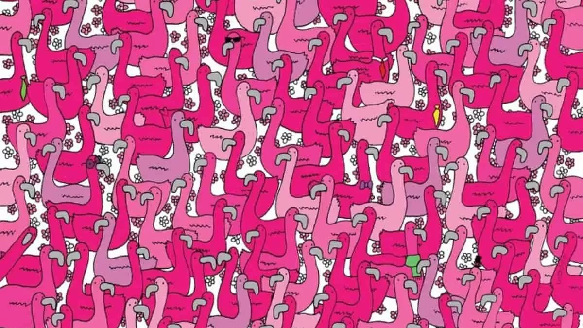 Find Hidden Heart in 17 Seconds