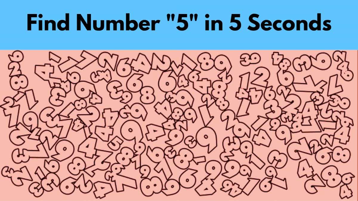 seek-and-find-can-you-find-the-number-5-within-5-seconds