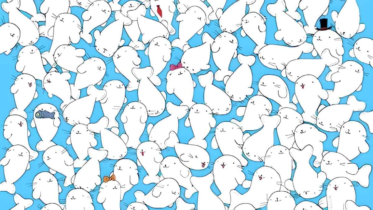 Find Marshmallow in 10 Seconds