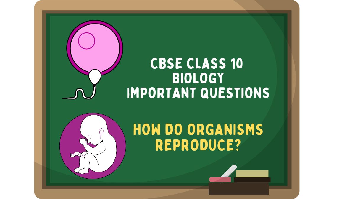 CBSE Class 10 Biology How Do Organisms Reproduce Important Questions and  Answers