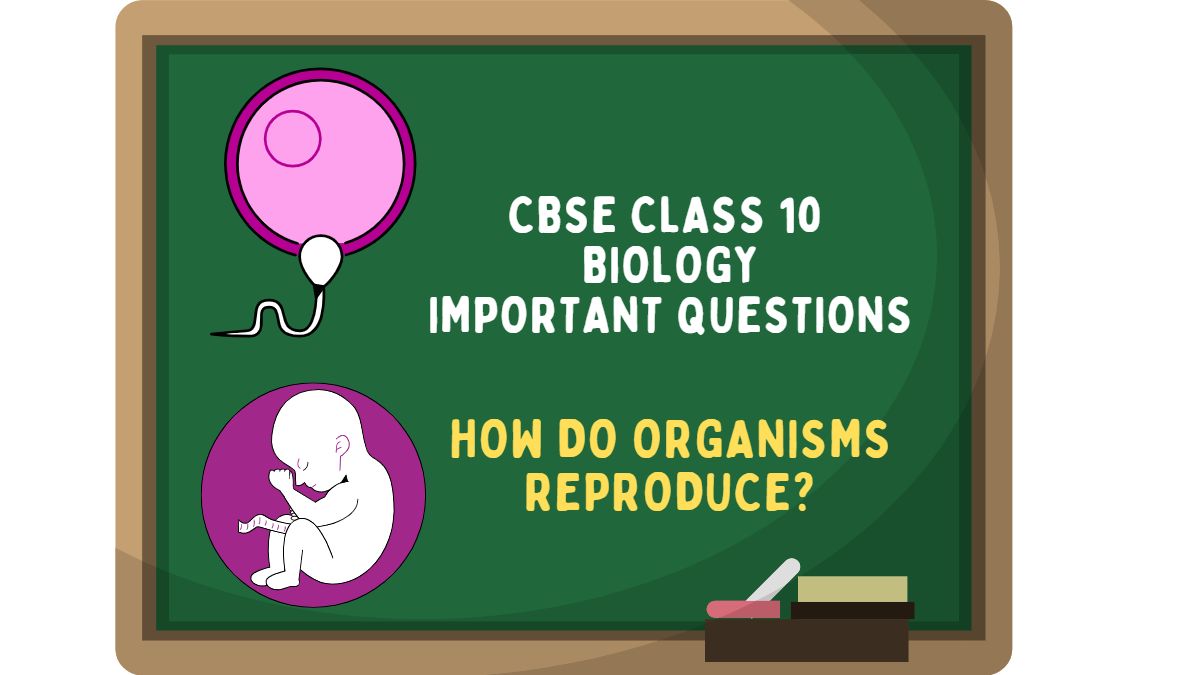 CBSE Class 10 Biology How Do Organisms Reproduce Important Questions 