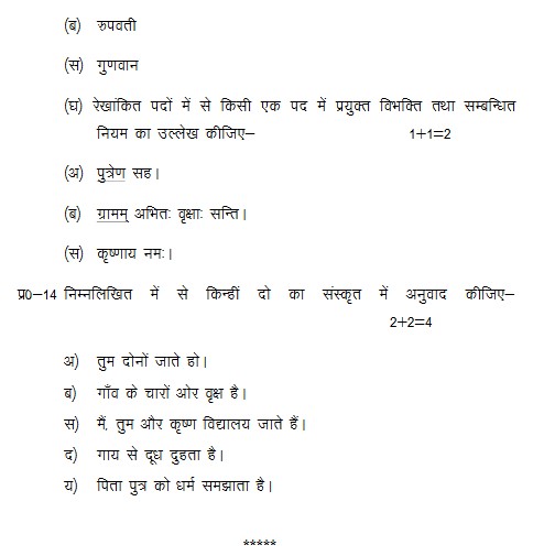 12th assignment hindi pdf