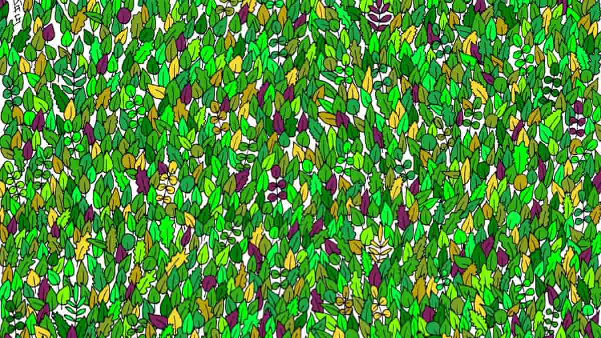 Find Hidden Frog in 13 Seconds Optical Illusion