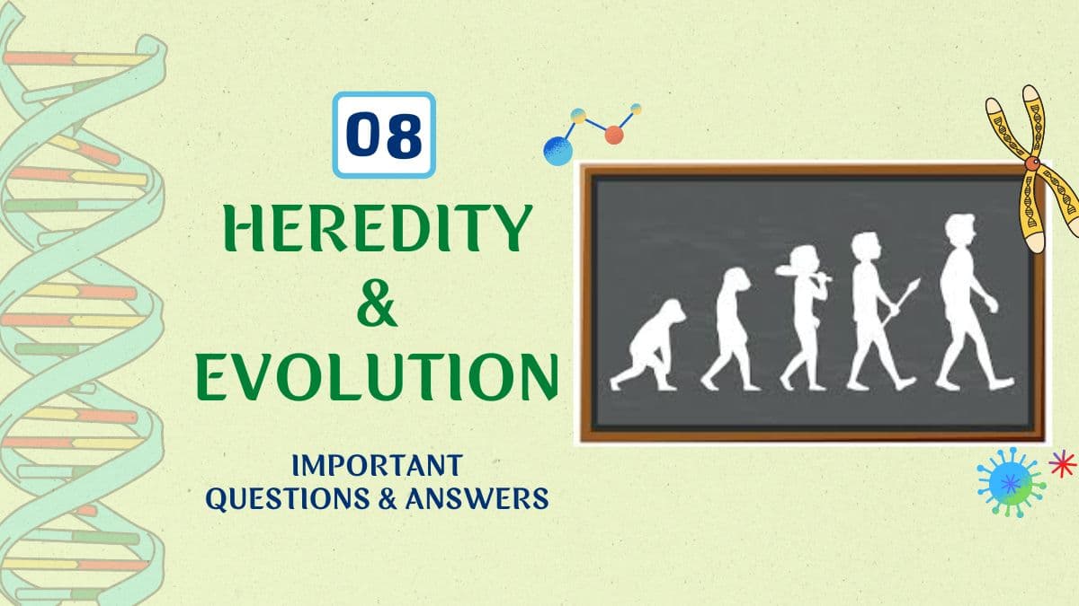 CBSE Class 10 Biology Heredity and Evolution Important Questions for 2023