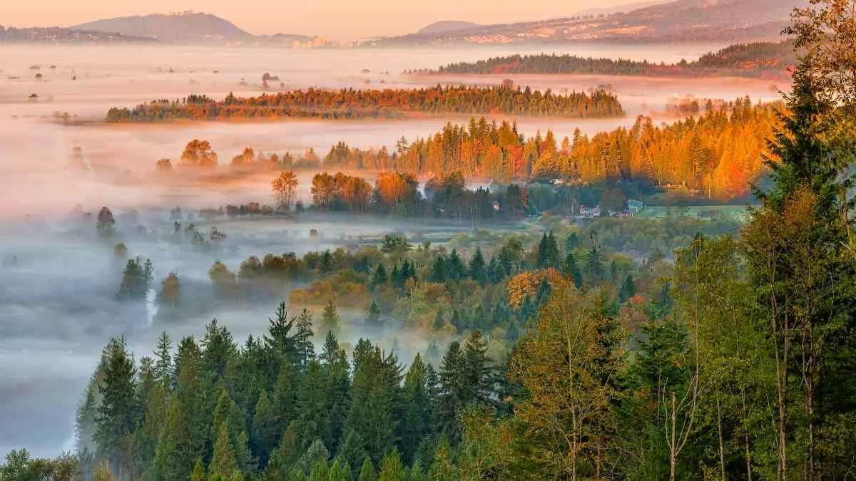 What Is The Difference Between Weather And Climate?