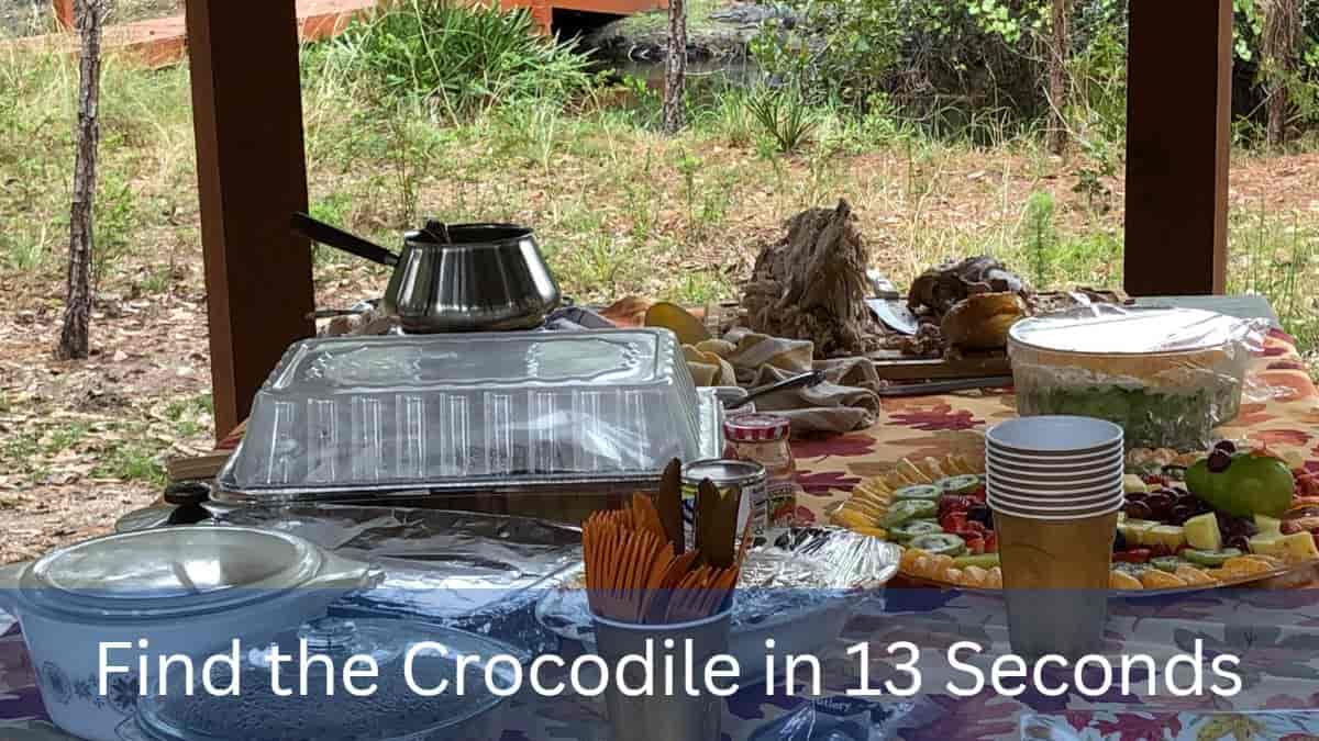 Only a genius can find the crocodile in this optical illusion picture in 13 seconds. Can you?