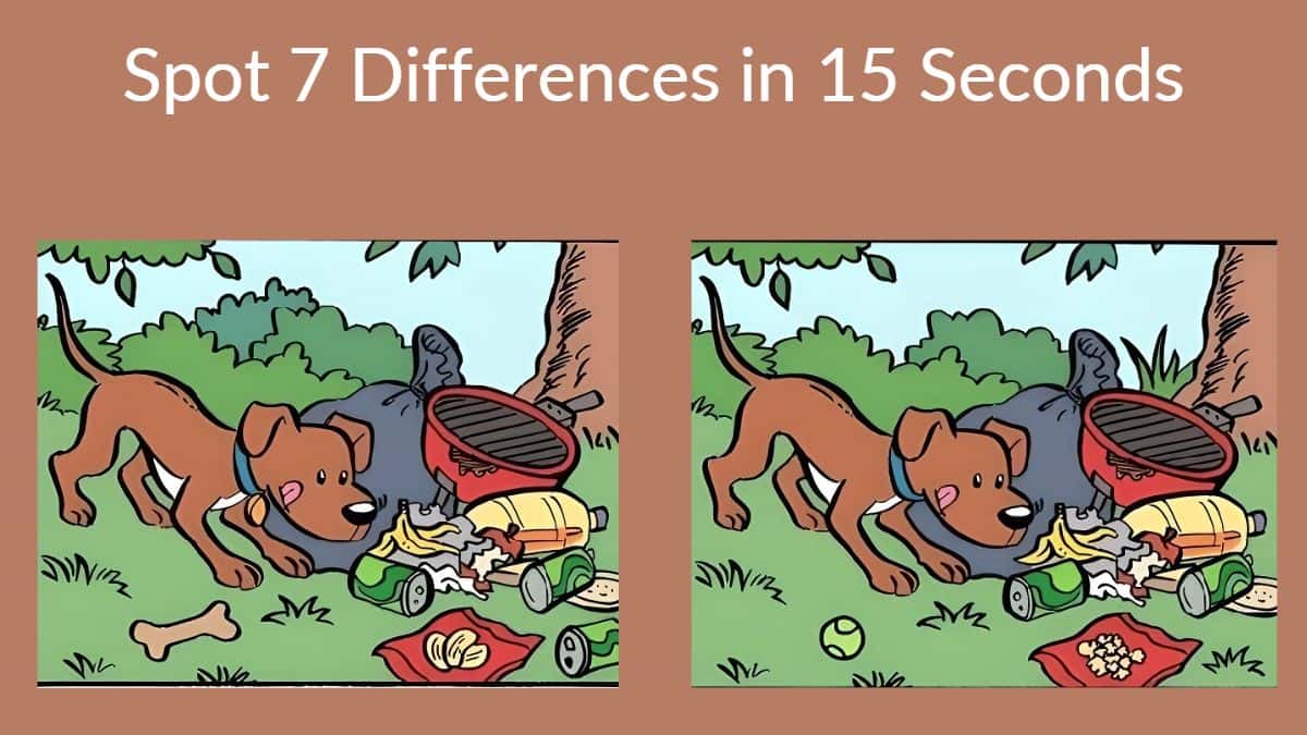 Spot The Difference Can You Spot 7 Differences In 15 Seconds 