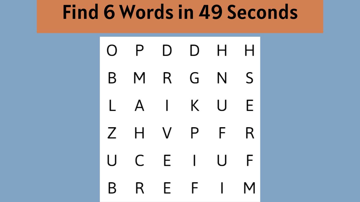 Word Search Puzzle: Can you find 6 words in the image within 49 ...