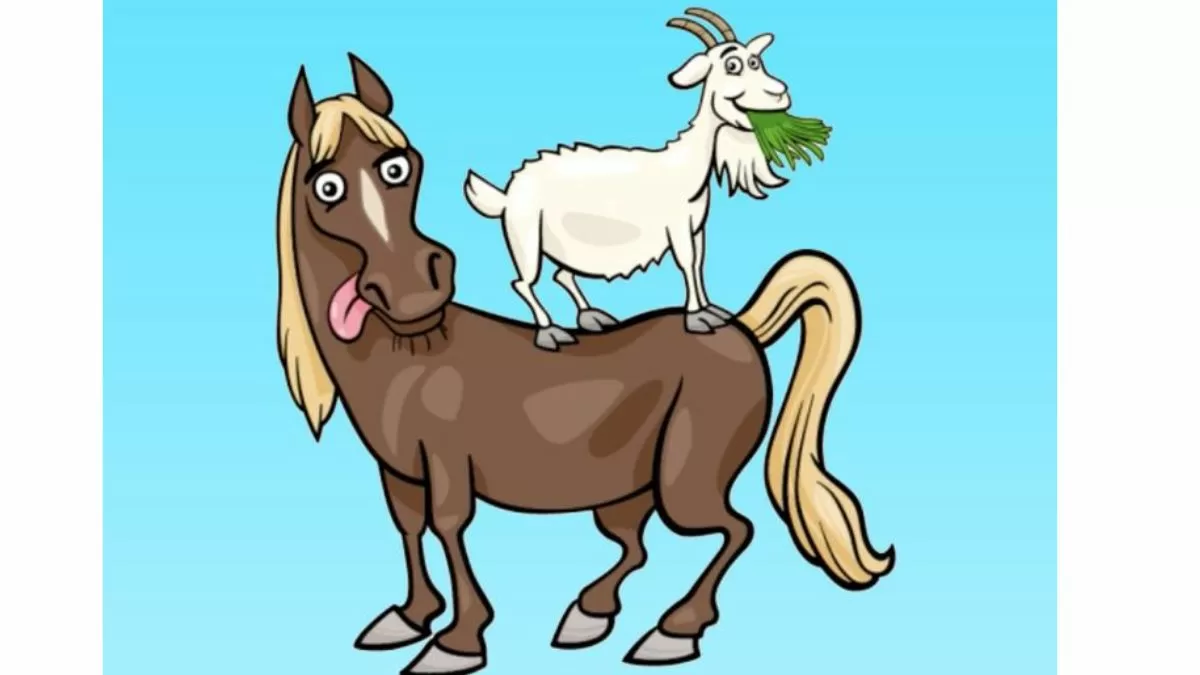 Pick the right shadow for the fun couple