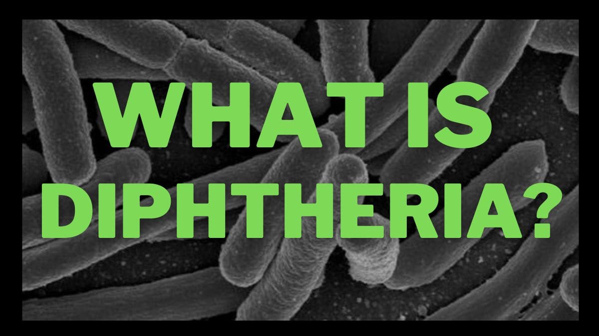 What is Diphtheria,how does it spread, and what are the symptoms? All you need to know