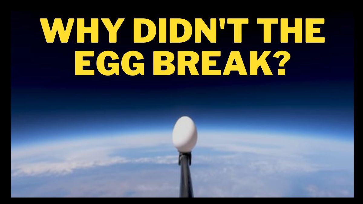 Why didn't the Egg dropped from space crack?: Find out the Reasons for the experiment went viral!