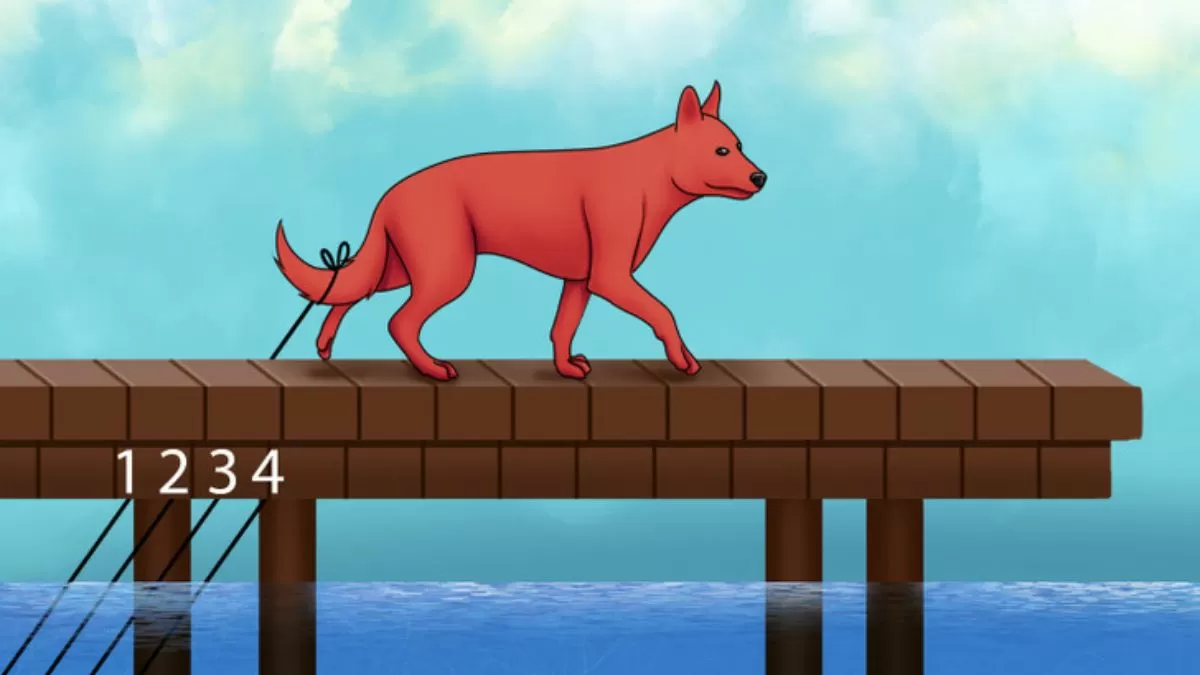 Help the Dog in trouble.