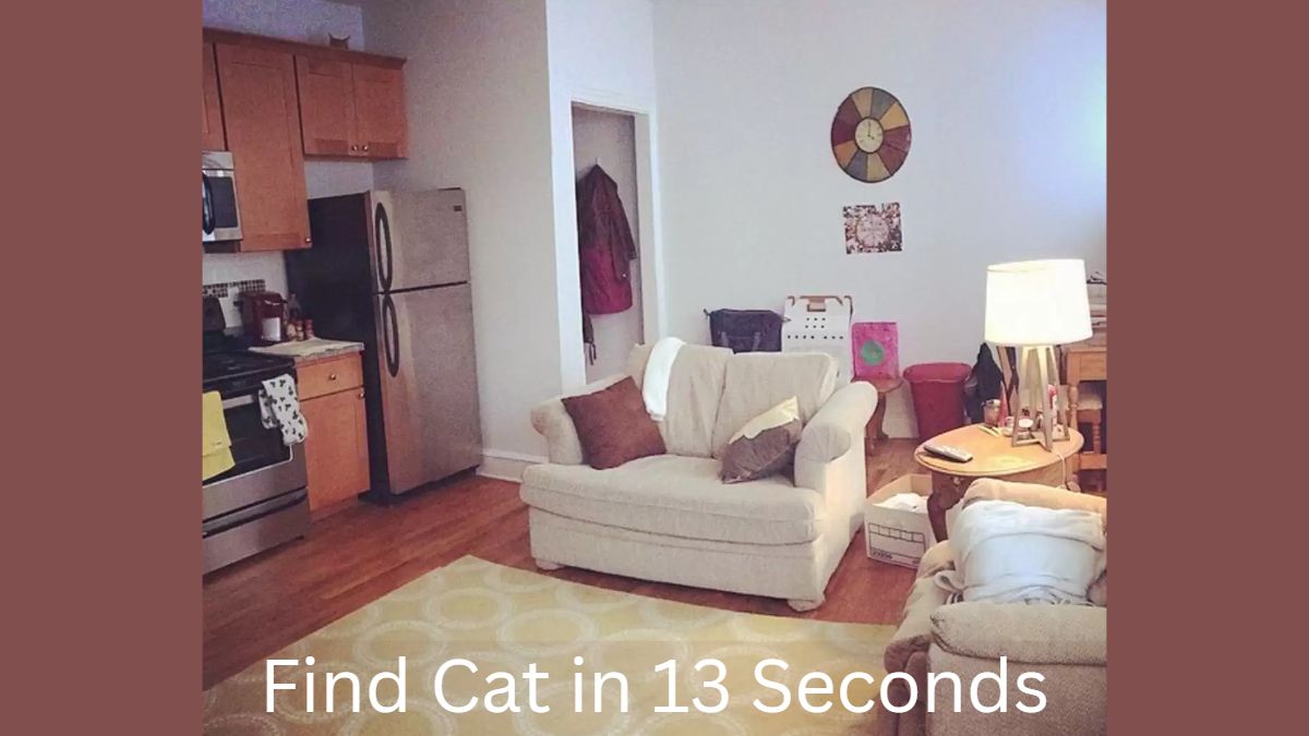 Find the Cat in 13 Seconds