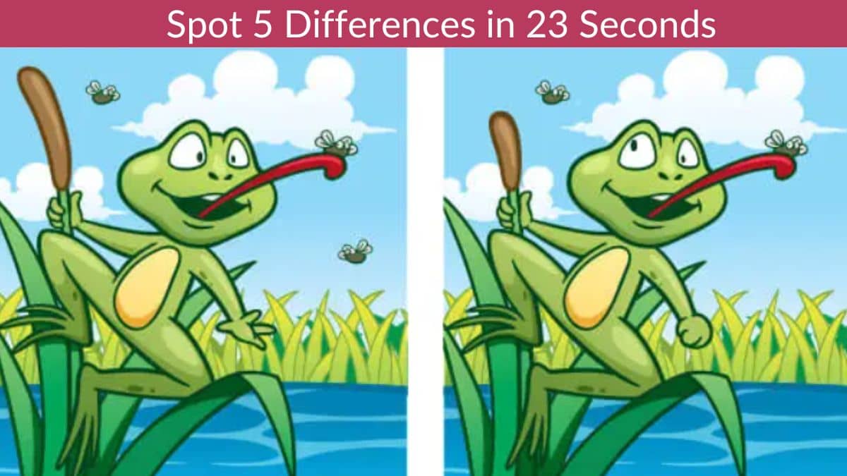 Spot 5 Differences in 23 Seconds