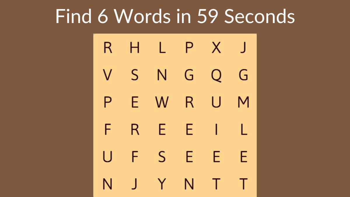 Word Search Puzzle: Find the Words!