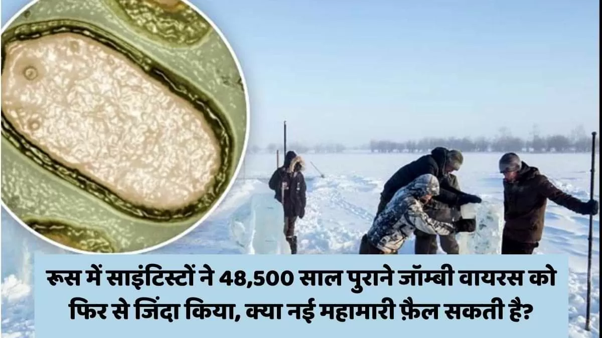 साइंटिस्टों ने 48,500 साल पुराने जॉम्बी वायरस को फिर से जिंदा किया