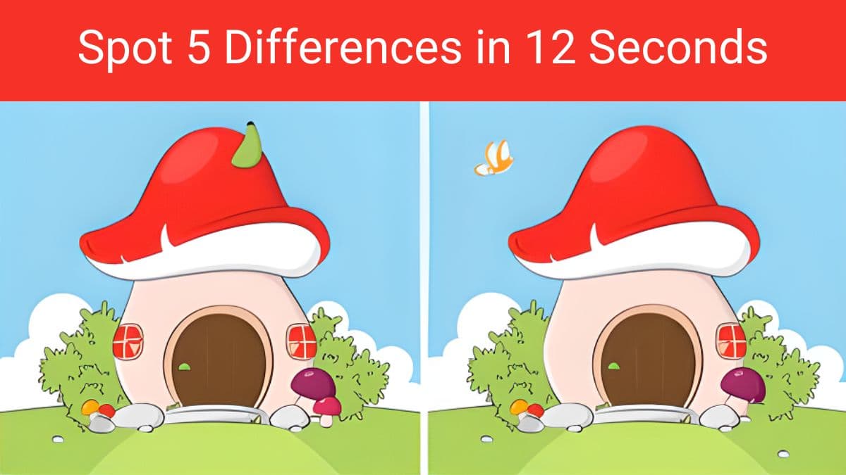 Spot Five Differences in 12 Seconds