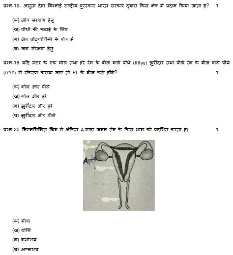 UP Board class 10 Science model paper 2022-23