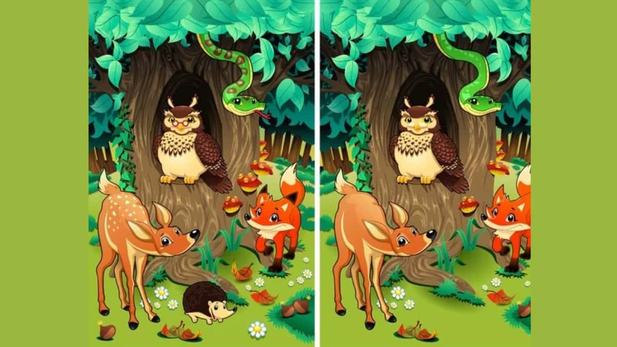 Spot 10 Differences in 21 Seconds