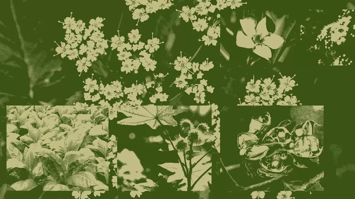 Worlds Deadliest Plants