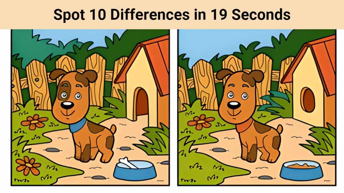 Spot 10 Differences in 19 Seconds