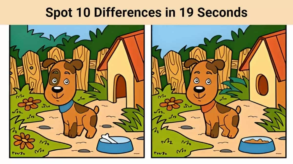 Spot The Difference: Can you spot 10 differences in 19 seconds?