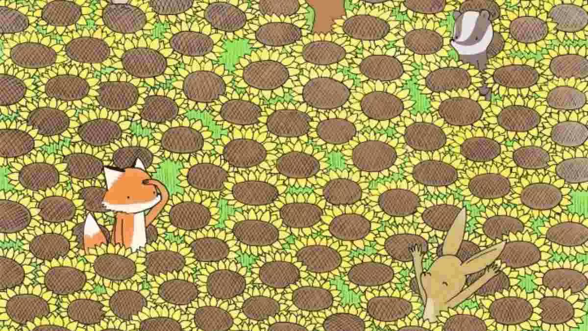 Find Hidden Butterfly Optical Illusion