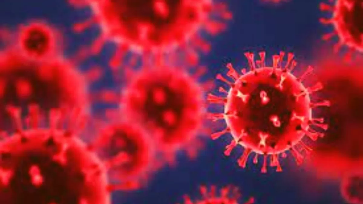 What are the new Omicron subvariants, XBB and XBB.1?