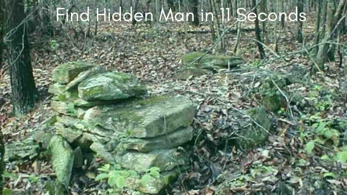 Optical Illusion - Find Hidden Man in 11 Seconds