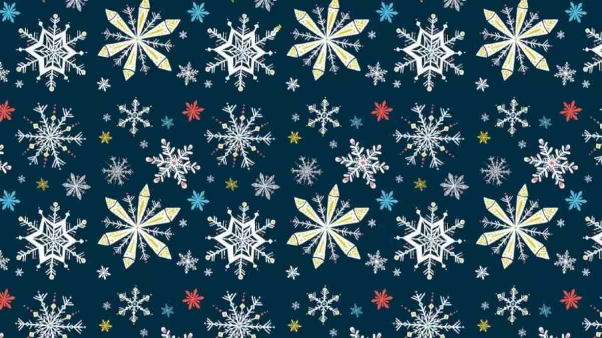Optical Illusion: Can You Spot The Hidden Snowman within 12 Seconds?